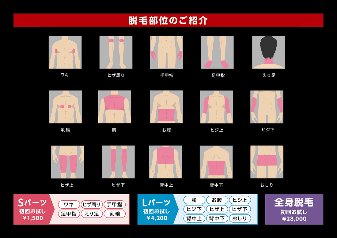 身体の脱毛部位のご紹介