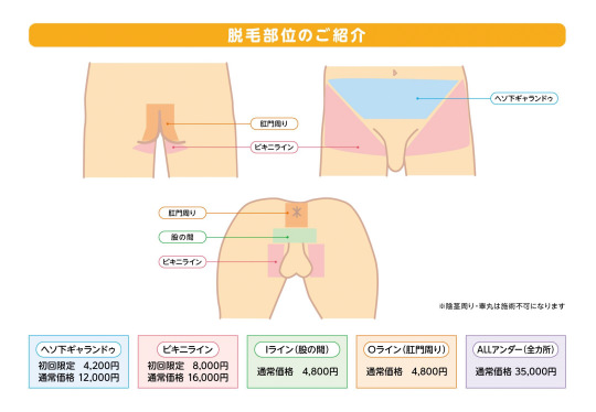 アンダーヘアの脱毛部位のご紹介