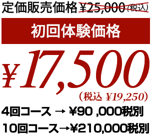 初回体験価格¥17,500